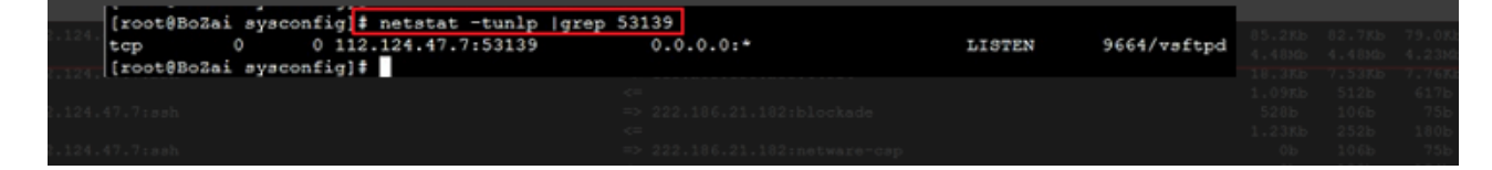 155830ar9599u5lsu6ctcs.png